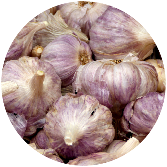 Ajo pelado fresco listo para uso profesional