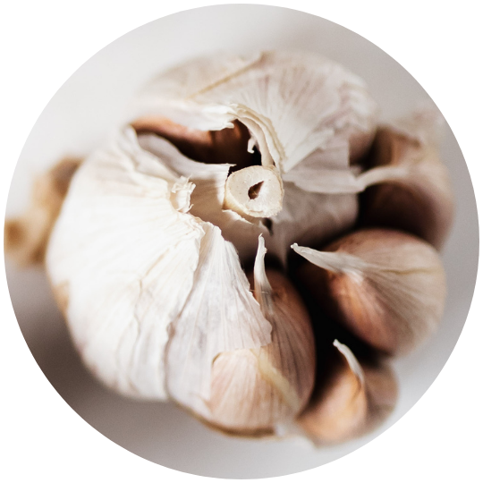 Cabeza de ajo blanco fresco de Ajos El Nene