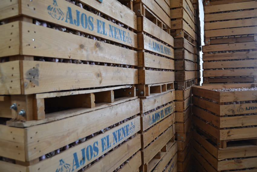 Cajas de ajos almacenadas en Ajos El Nene en Jamilena Jaén