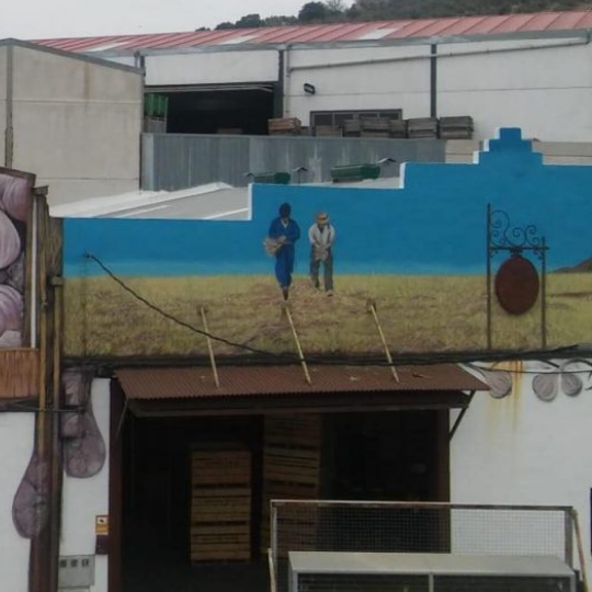 Instalaciones de Ajos El Nene en Jamilena Jaén